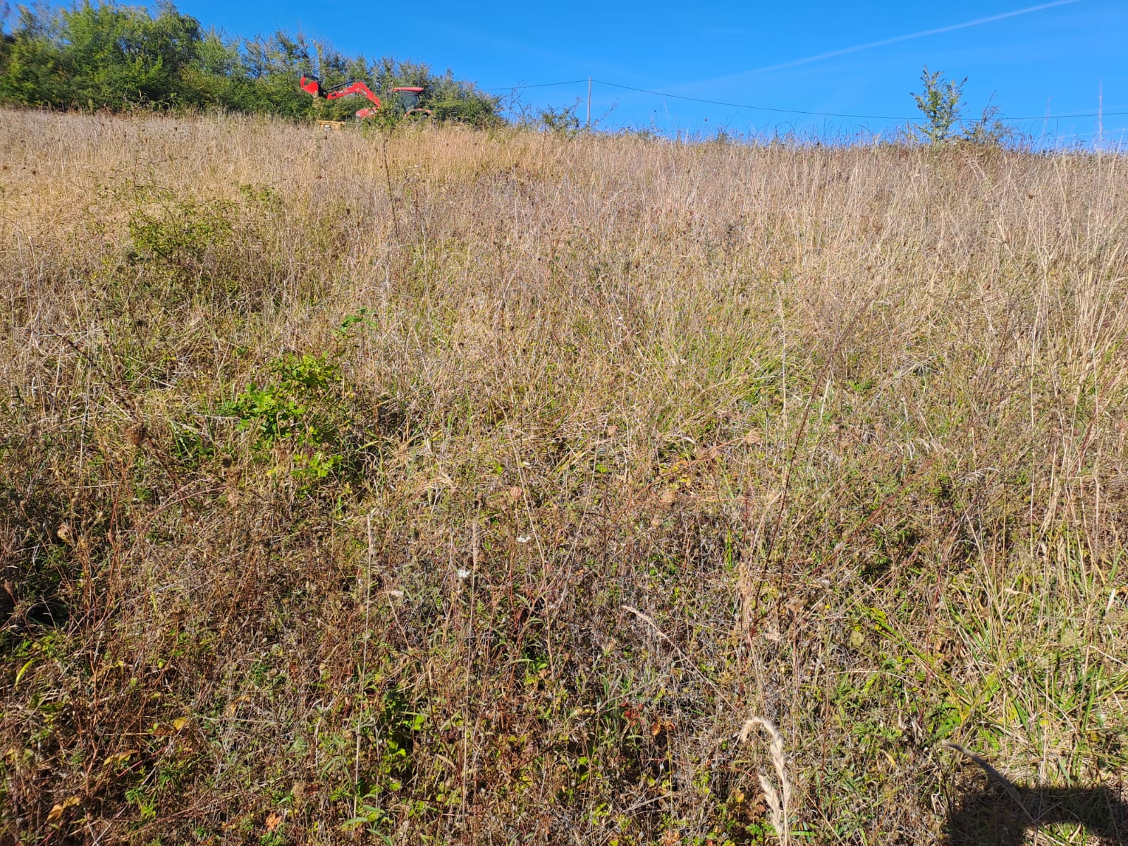 Etapes clés - Restauration prairie LIFE Biodiv'Paysanne