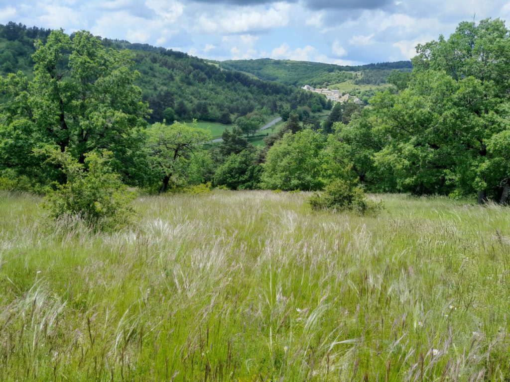 Conventionnement Lozère Etapes Clés