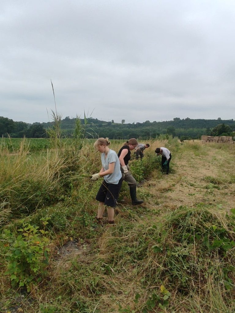 Etapes clés chantier participatif Tarn LIFE Biodiv'Paysanne