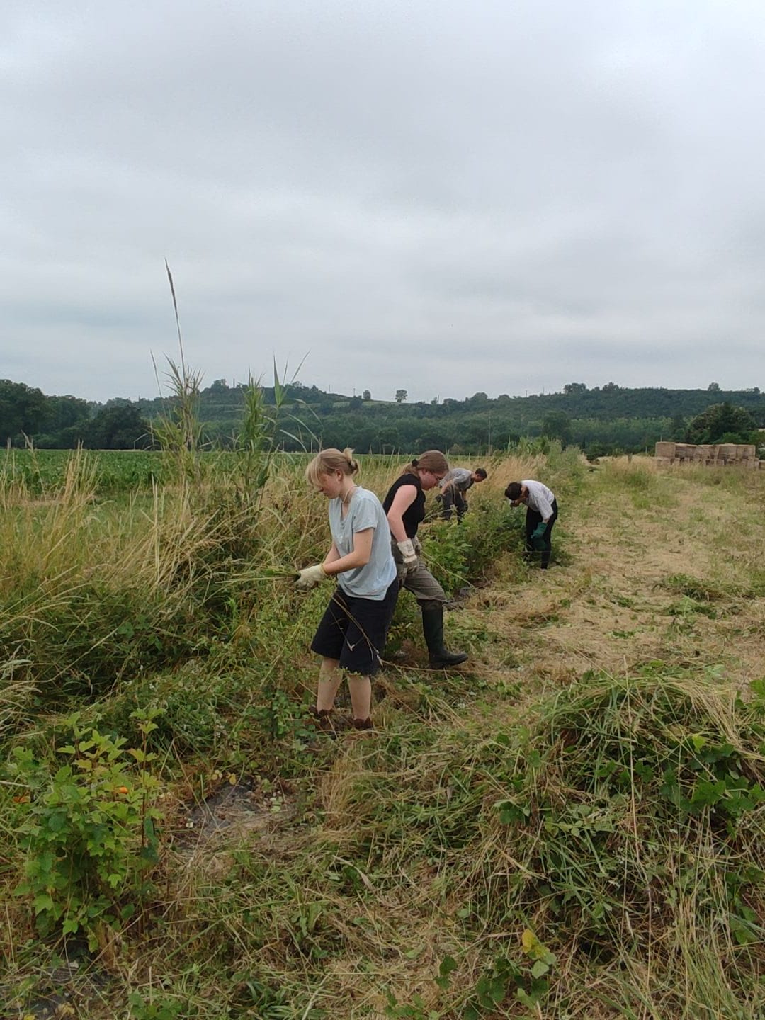 Etapes clés chantier participatif Tarn LIFE Biodiv'Paysanne