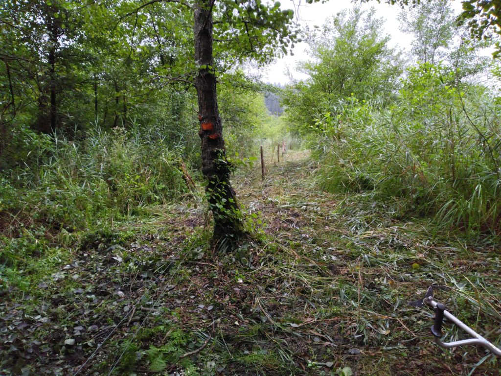 Gestion clôture Hautes Pyrénées LIFE Biodiv'Paysanne