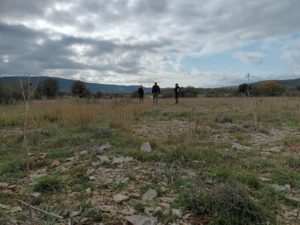 Larzac suivi ferme du Contrevent LIFE Biodiv'Paysanne