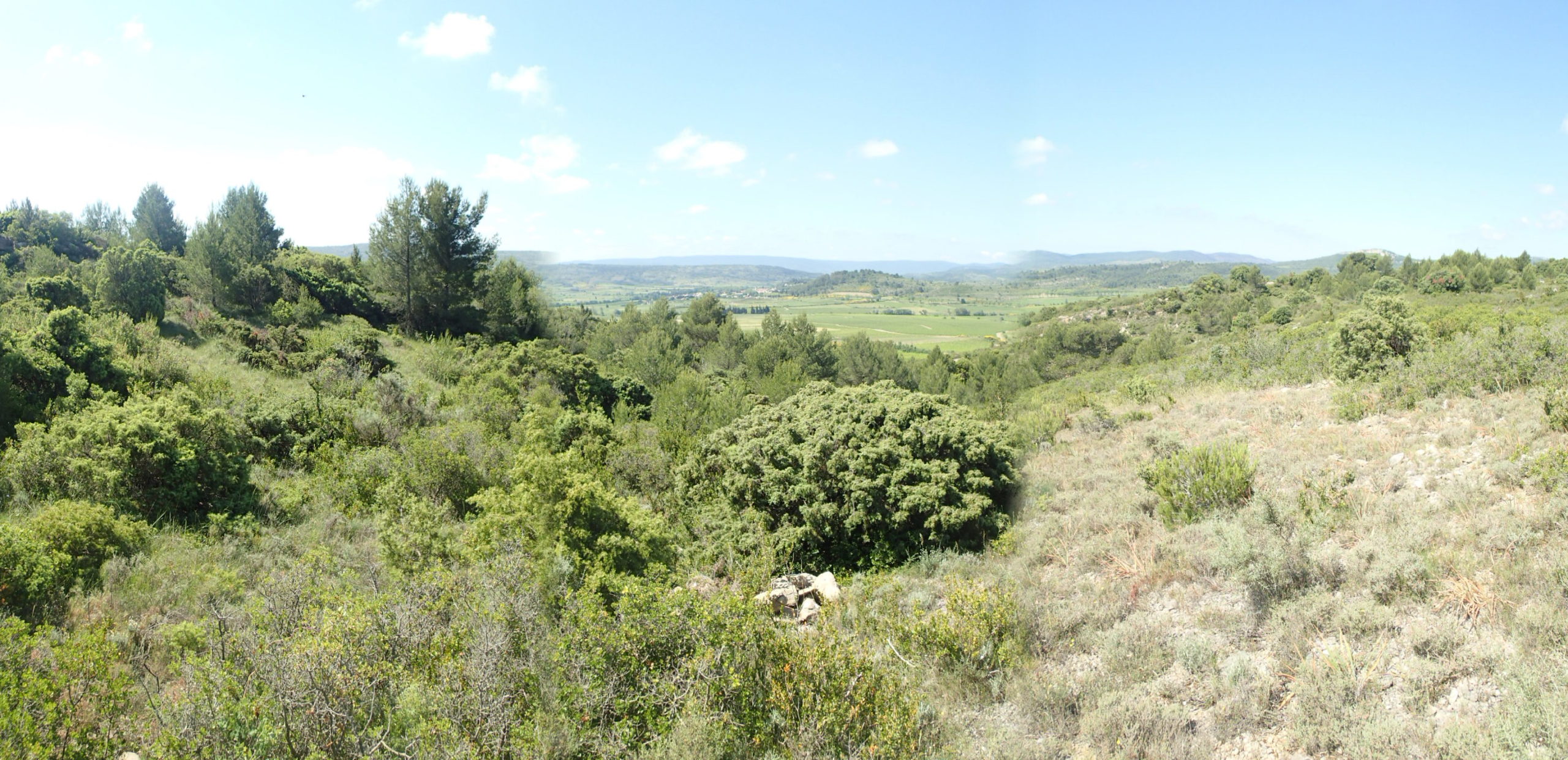 Alaric site naturel LIFE Biodiv'Paysanne