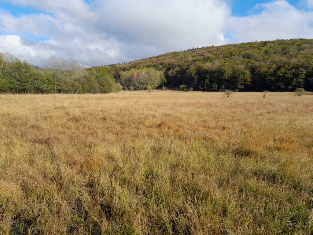 Monts de Lacaune gestion LIFE Biodiv'Paysanne