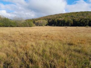 Monts de Lacaune gestion LIFE Biodiv'Paysanne