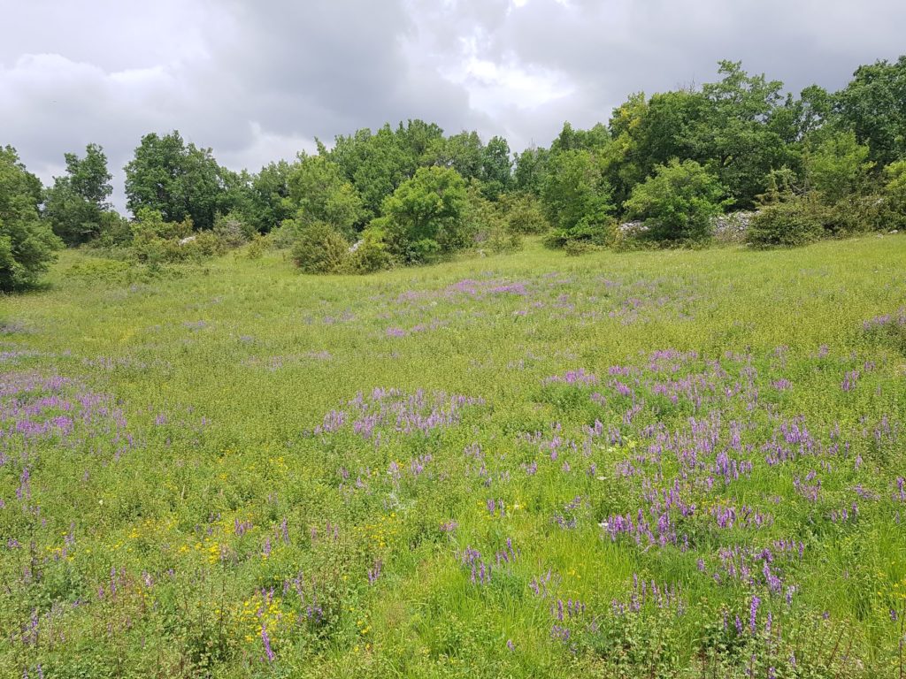 Etapes clés Aveyron restauration LIFE Biodiv'Paysanne