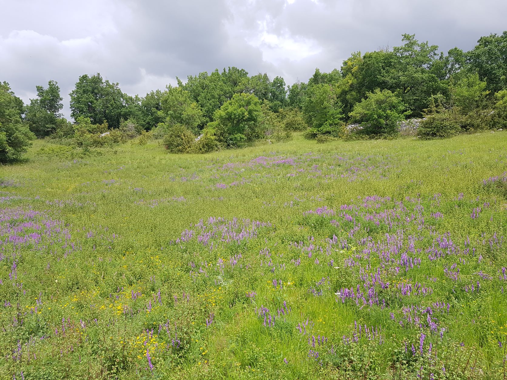 Etapes clés Aveyron restauration LIFE Biodiv'Paysanne