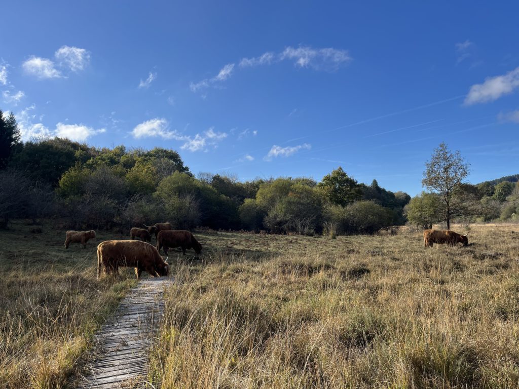 Monts de Lacaune gestion LIFE Biodiv'Paysanne