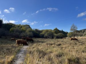 Monts de Lacaune gestion LIFE Biodiv'Paysanne