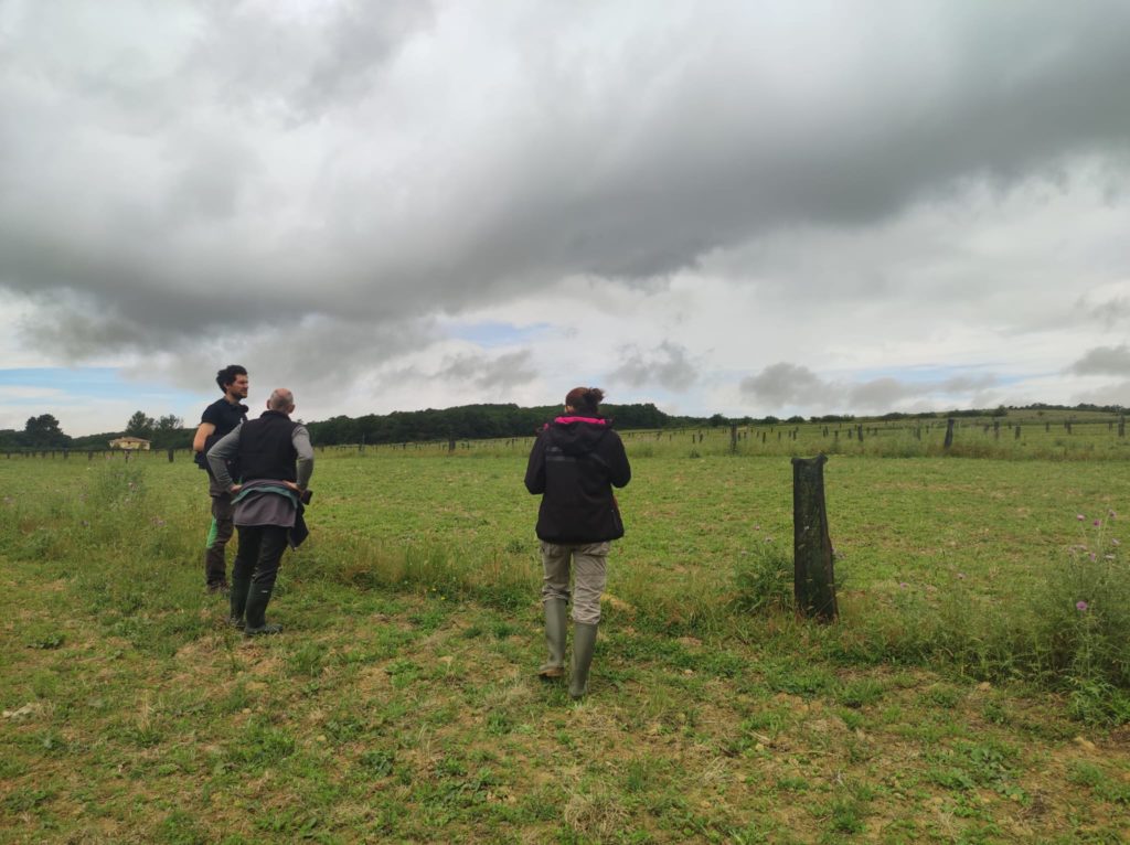 LIFE Biodiv'Paysanne Garrousset Restitution ferme