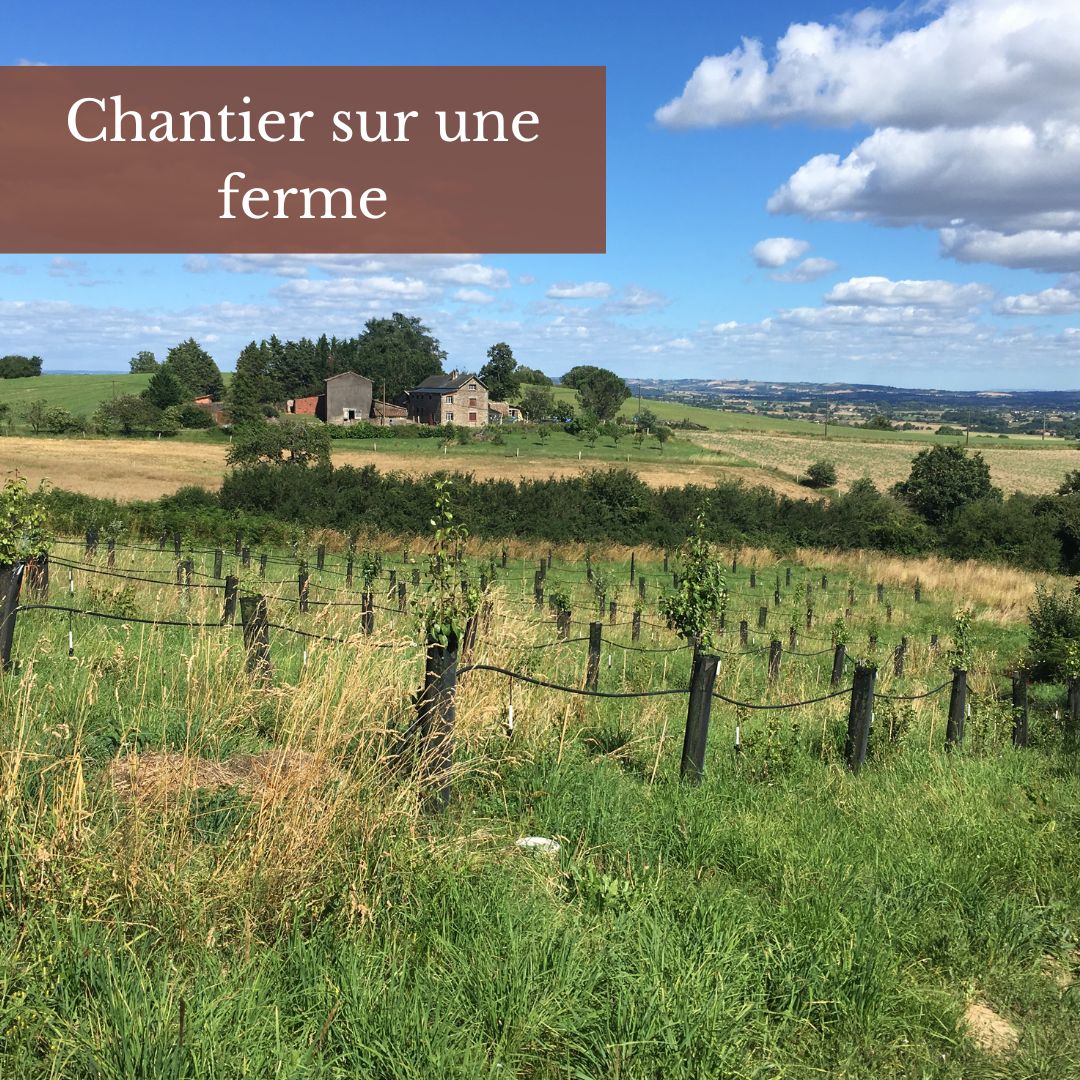 Chantier bénévoles Tarn plantation arbres