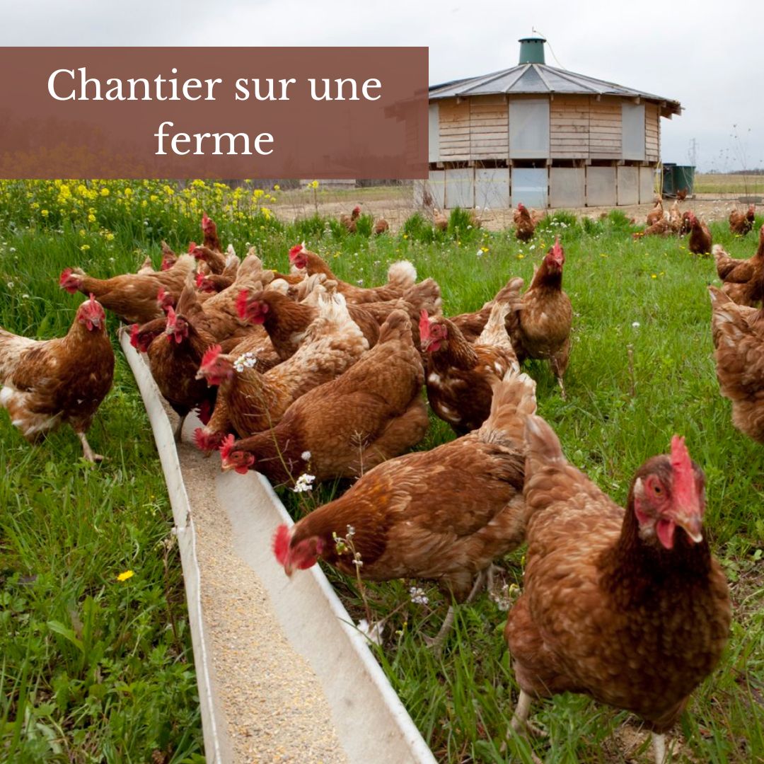 Chantier bénévoles Gard LIFE Biodiv'Paysanne