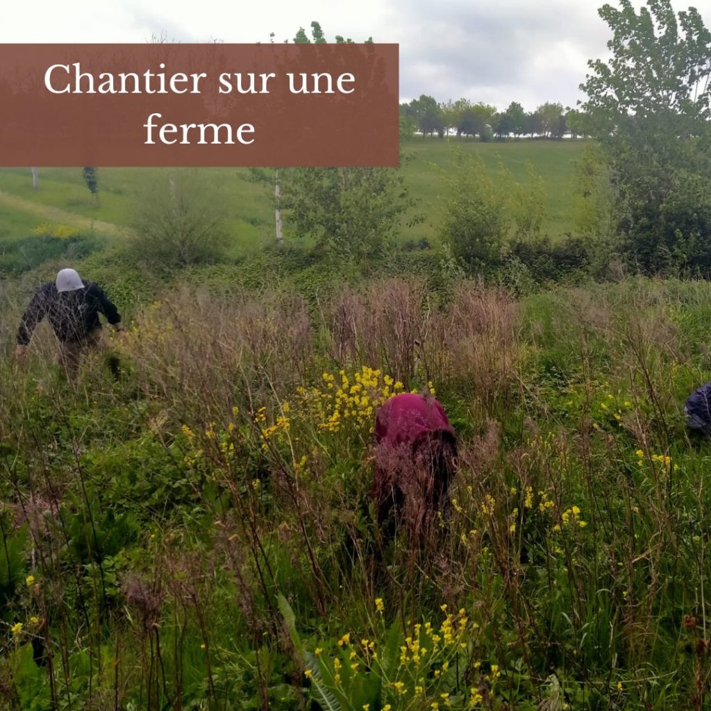 Chantier bénévoles Haute Garonne